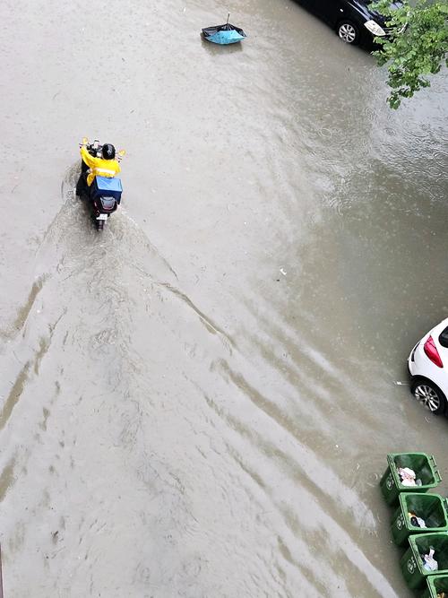 城市道路积水点学生观察