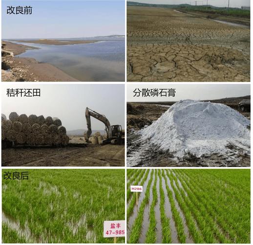 湖南衡阳稻田秸秆生物炭改土施工现场图