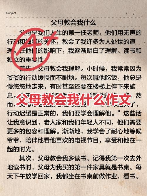浮木教会我的事