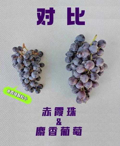 那些看起来“差不多”的试样,差在哪