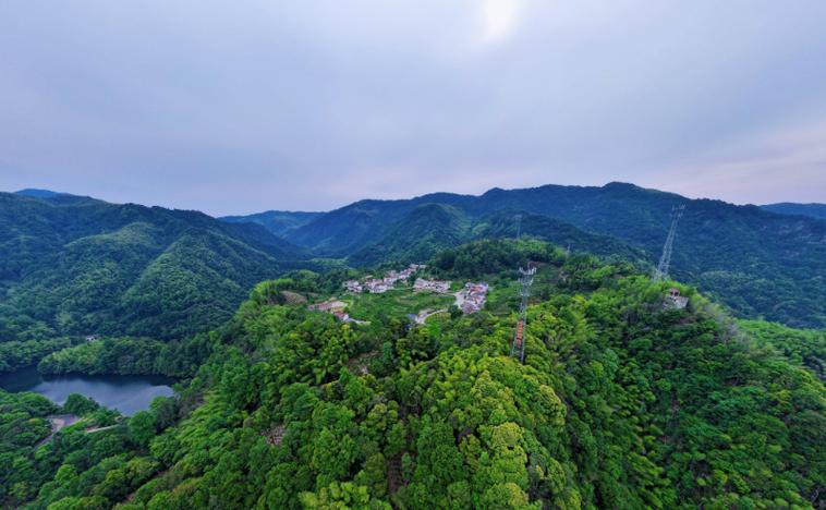 池州霄坑村山坳里的有机茶垄