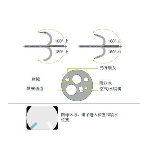 医用内窥镜头部材料分层切面图
