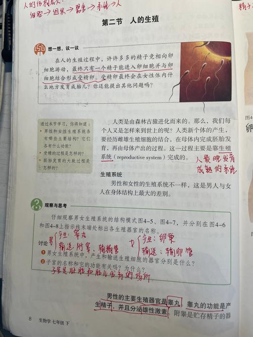 初中生物教材生殖系统章节内页实拍