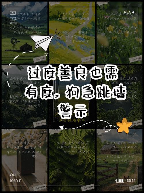 被恶犬追赶跳墙避险踩坏花园示意图