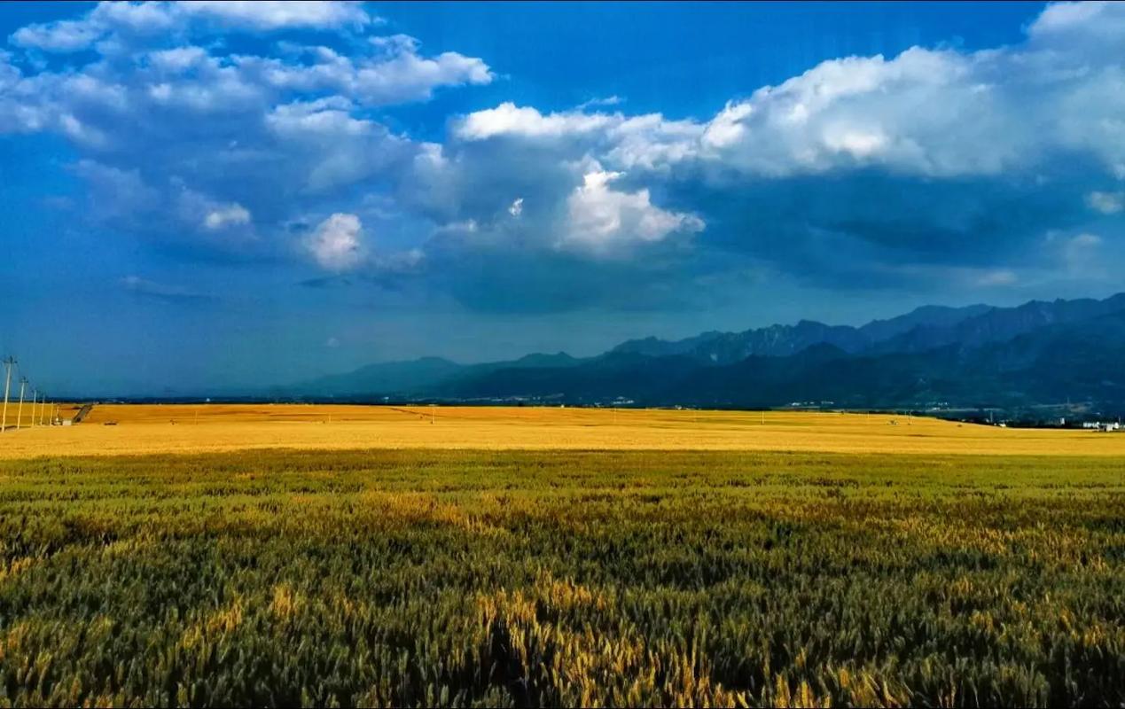 未来的守望麦田，是工业和土地的双向奔赴