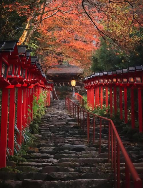 日本京都东福寺通天桥秋季红叶特写