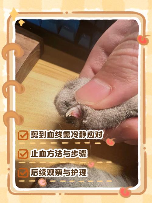 真剪到血线了，别慌