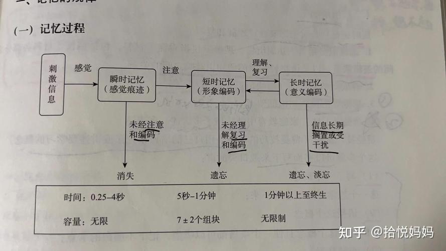 工作记忆与长期记忆转换课堂示意图