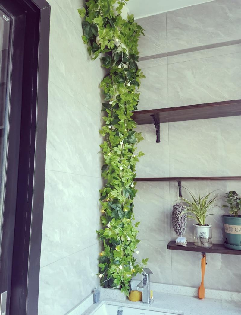 老房翻新垂吊绿植遮丑管道实景