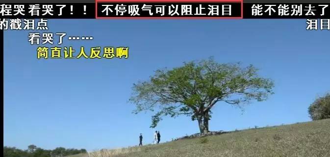 反过来站才能拆走眼前的雷