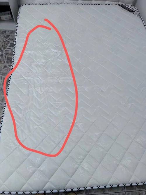 床垫缝隙卡积皮屑碎发实拍图