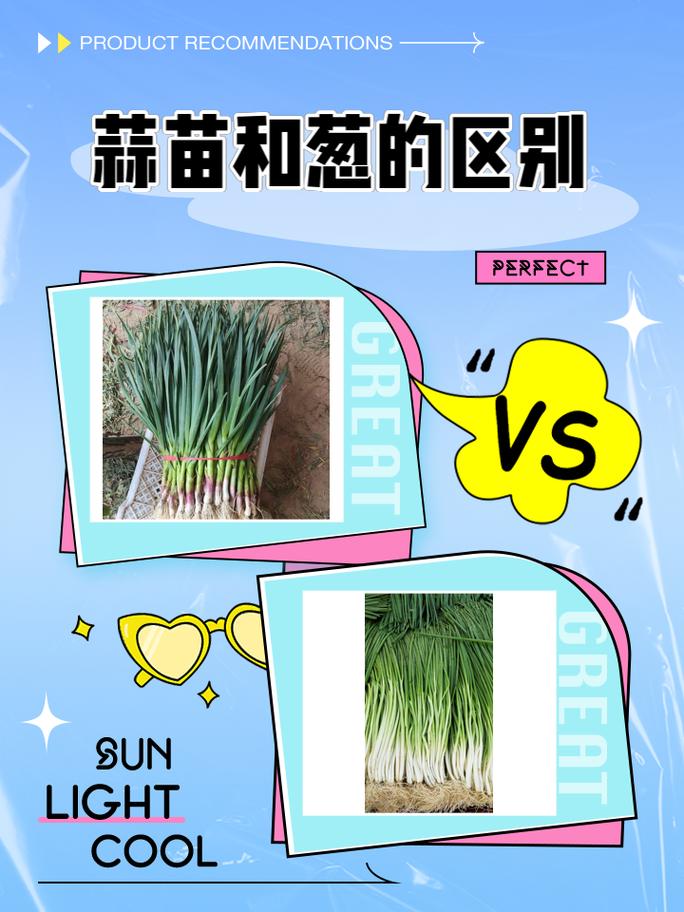 种葱？还是买葱？这是个成本与情怀的问题