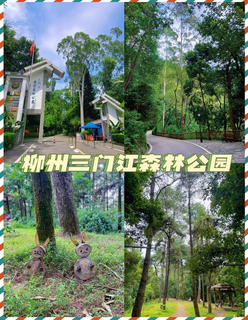 柳州三门江森林公园江景
