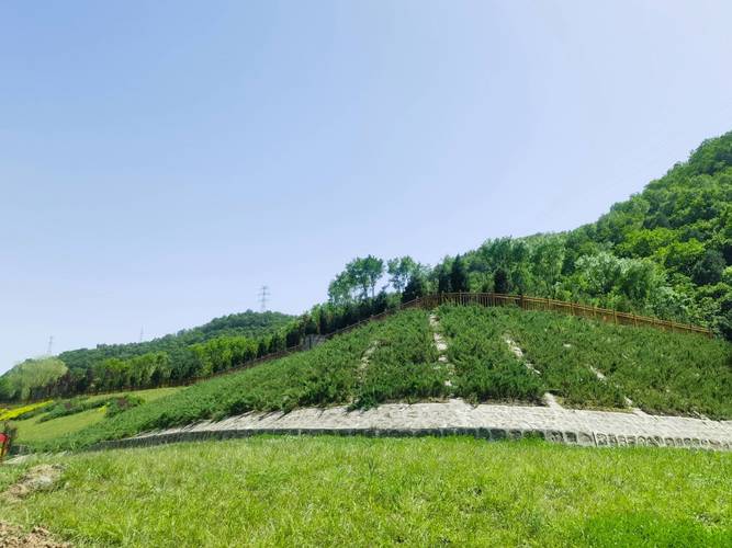 南京郊县废弃煤矸石山生态修复前场景
