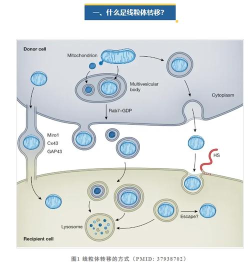 科研圈正在悄悄发生的范式转移