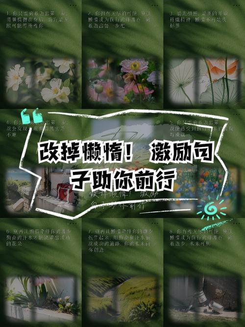 装复验证，这两步不能偷懒