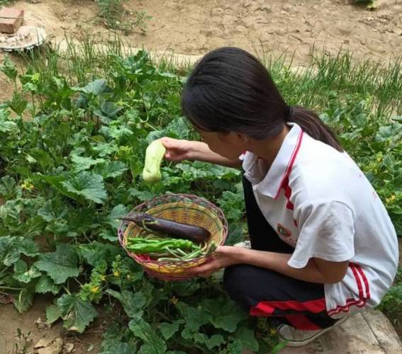 中小学生帮妈妈摘青菜做家务实拍