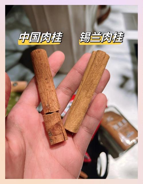 肉桂远不止一种:我差点用它毒死自己的那三年-因为所以