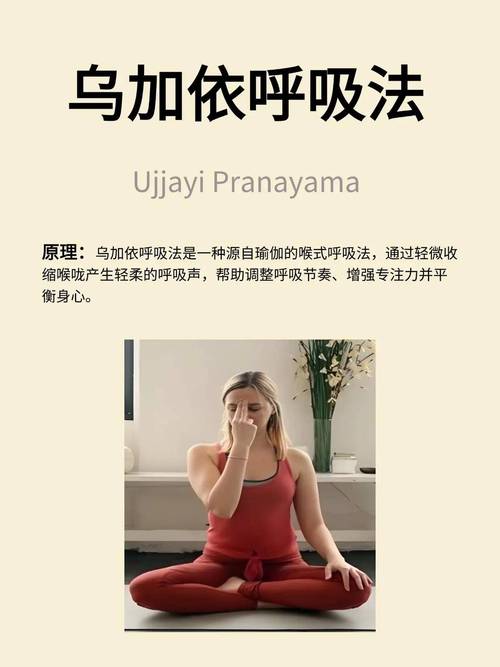 瑜伽乌加依呼吸收腹动作示意图