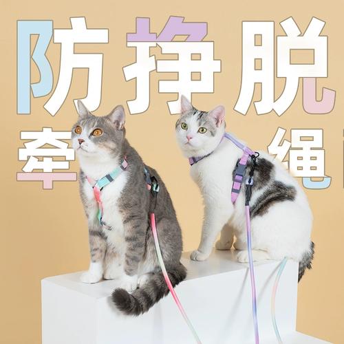 牵引绳:丑哭但真香