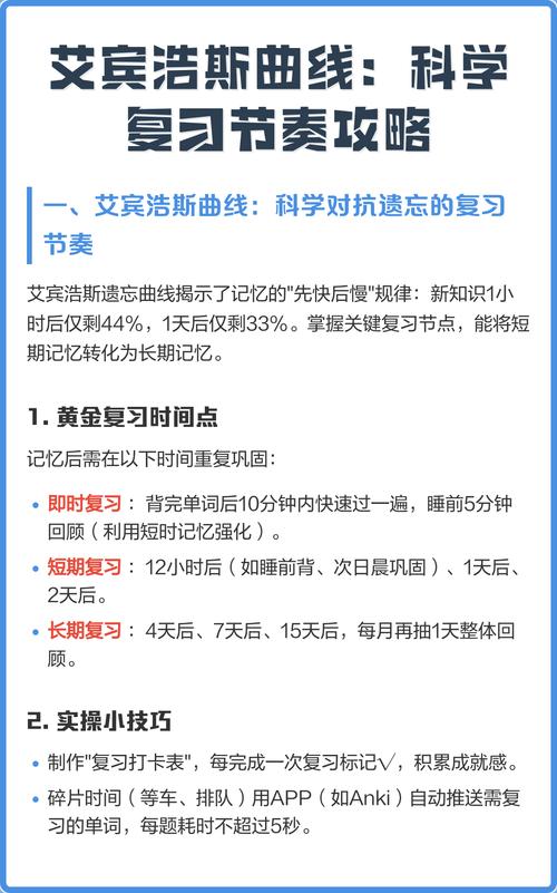 复习节奏:把一天掰成两天用?错!