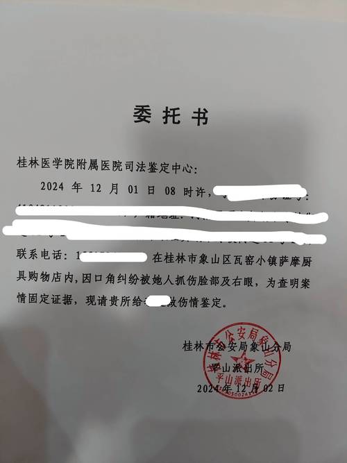 派出所家暴伤情鉴定委托书示范文本