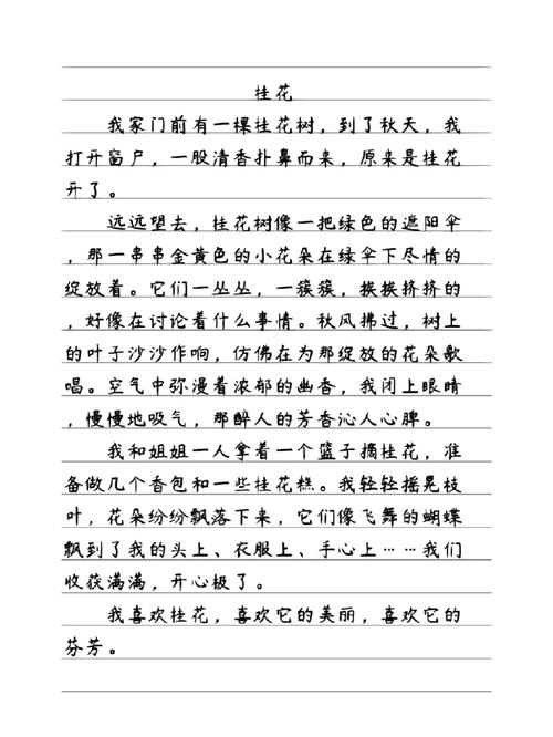 小学语文作文本贴桂花实拍