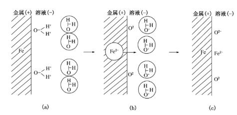 钛金属表面钝化膜显微结构图
