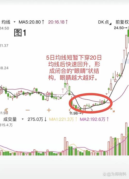 四、选线避坑:别只看价格,认准这些硬指标
