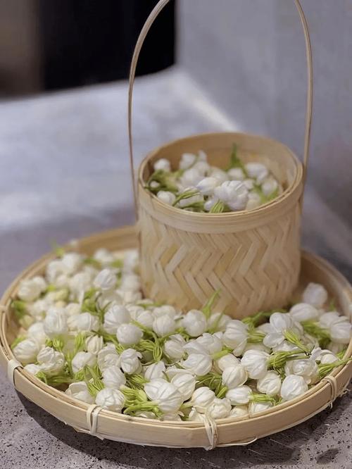 福州三捷河洗衣台竹篮茉莉花