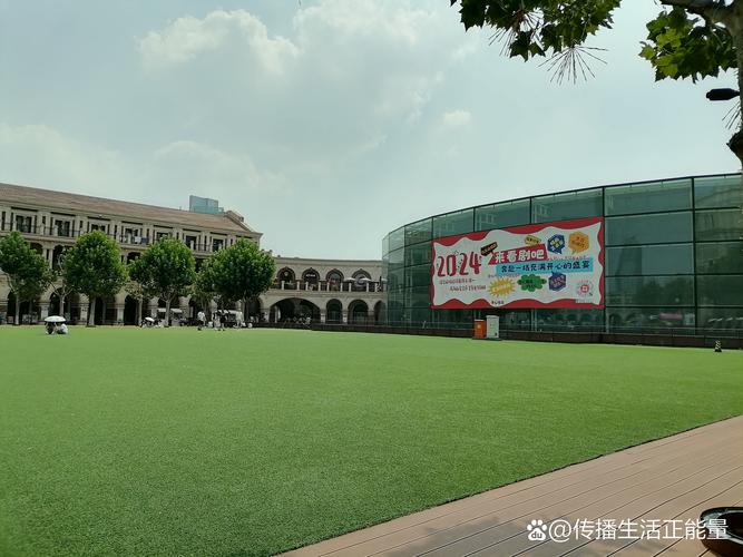 天津五大道民园广场外洋槐落瓣