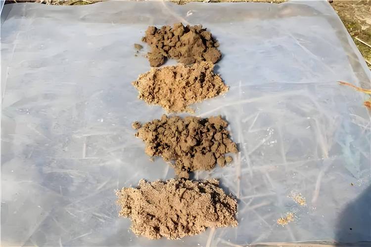 土壤修复技术这十年：从挖土换土到让微生物吃垃圾，我看到了什么