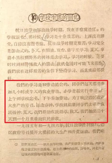 那些年我们交过的‘假’实践