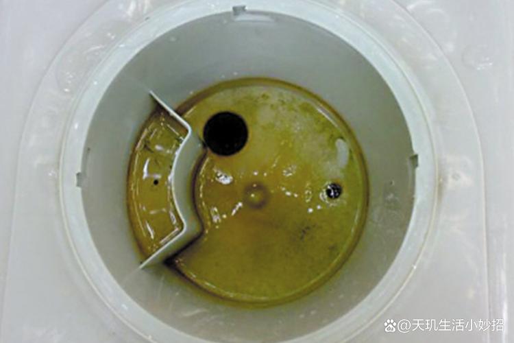 猫饮水机缝隙水垢脏污实拍