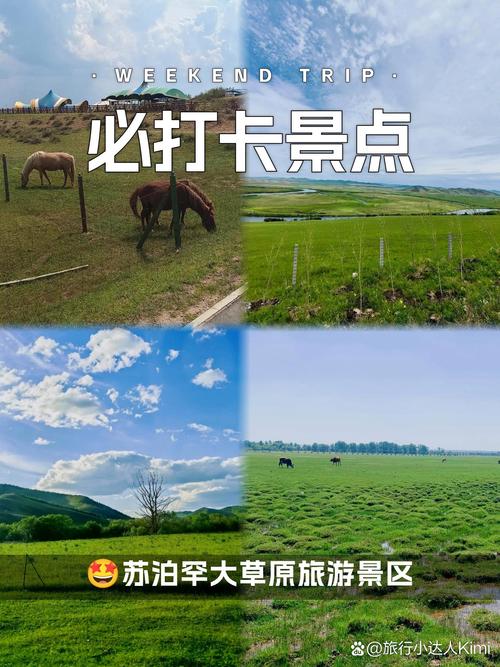 能摸得到的草原玩法