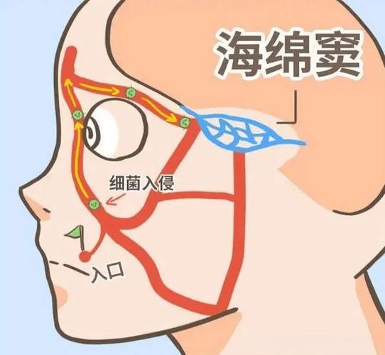 儿童面部识别数据被采集风险图解