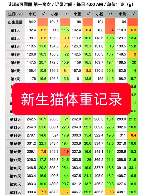养宠家庭猫体重记录手账示例