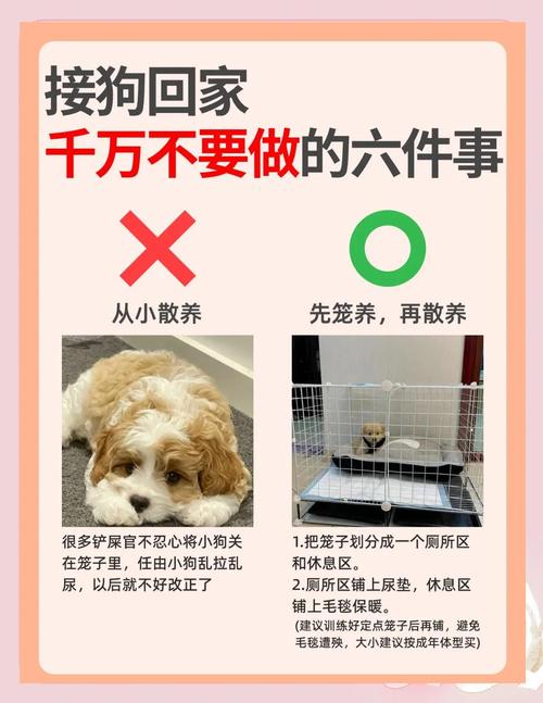 不用送走毛孩子,只要做对这几件事