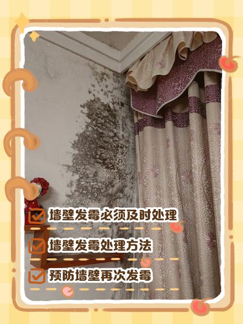 入住后防霉处理与补救常见问题