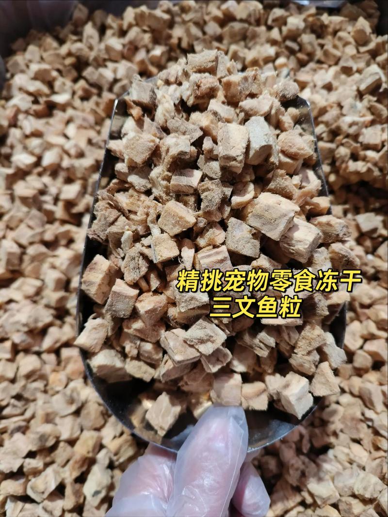 刚吐在米白色短绒地毯上的整颗三文鱼冻干