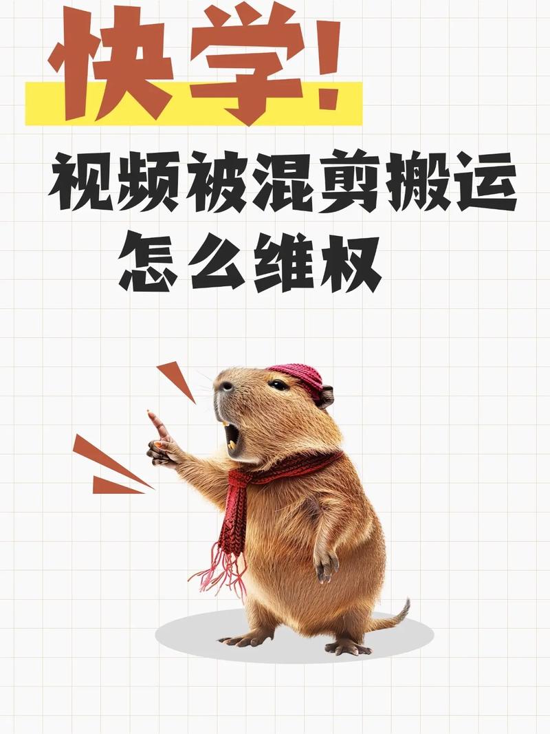 短视频平台预告片混剪侵权投诉处理页面