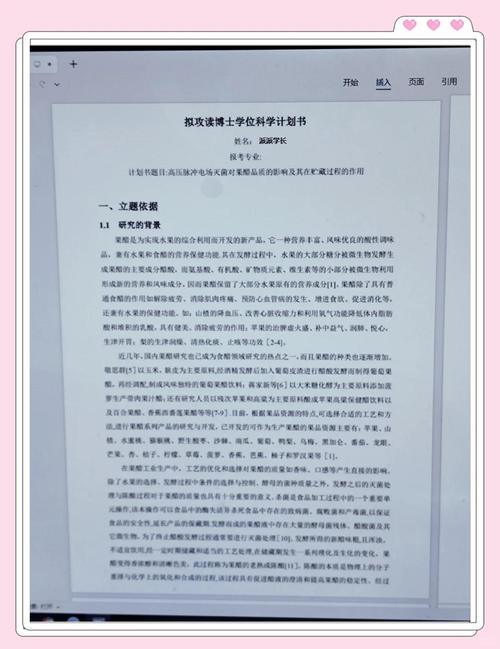 博士申请研究计划书写作场景