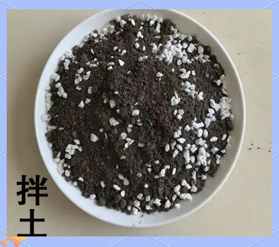 开花盆栽泥炭土珍珠岩混合配土示意图