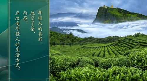 未来的绿色数据中心，要学会吃大自然的