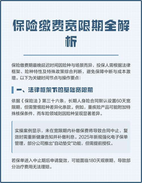 人身保险合同宽限期条款标注截图