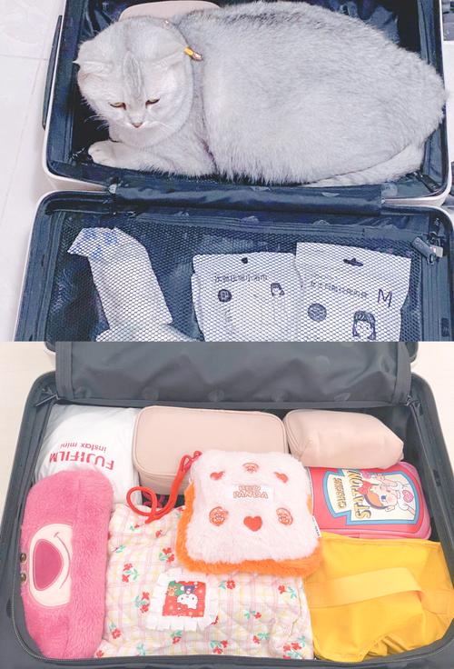 行李里塞什么？有些东西不带就是傻子