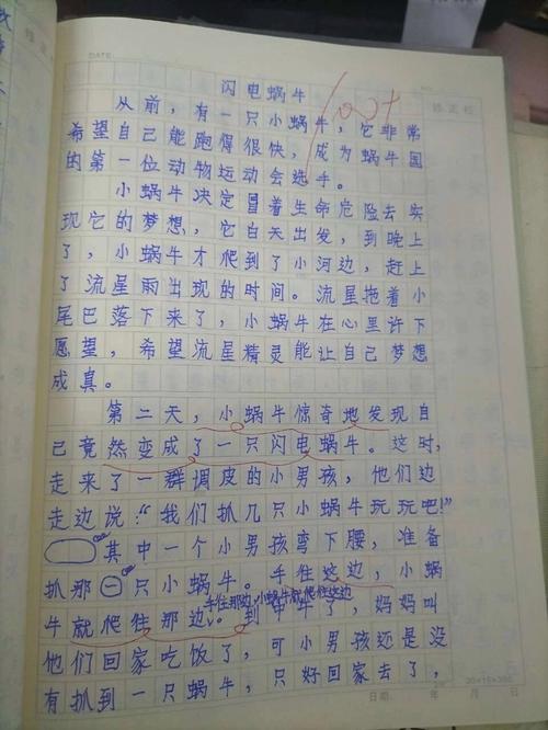 我养过一只叫“闪电”的蜗牛