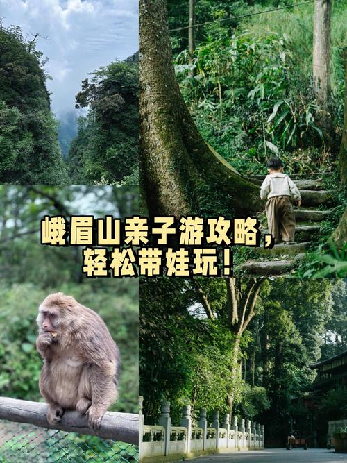 南漳人去峨眉山，这么玩最舒服