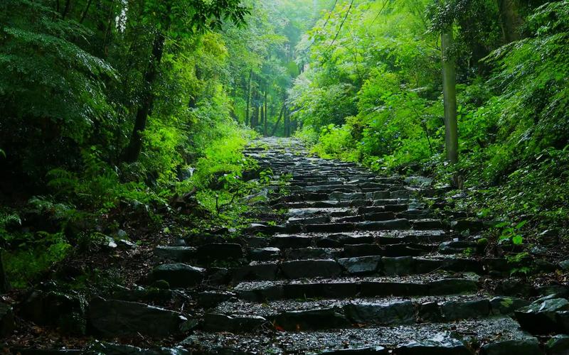 湖北南漳太坪村雨后山间石板路