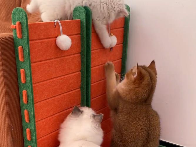橘猫蹲在瓦楞纸猫抓板上伸爪磨爪的近景